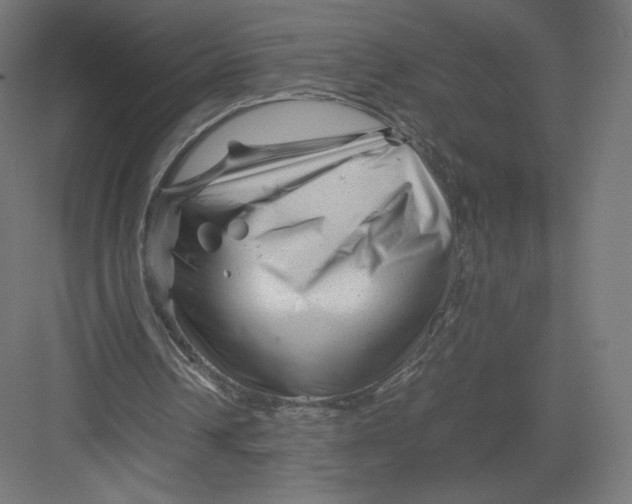 X0000082170242200702092251