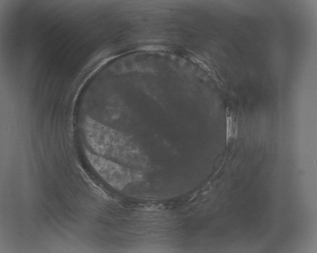 X0000082170243200702092251