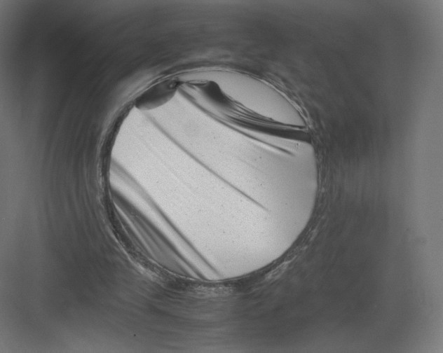 X0000082170245200702092251