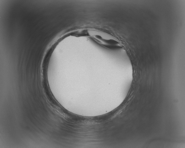 X0000082170246200702092251