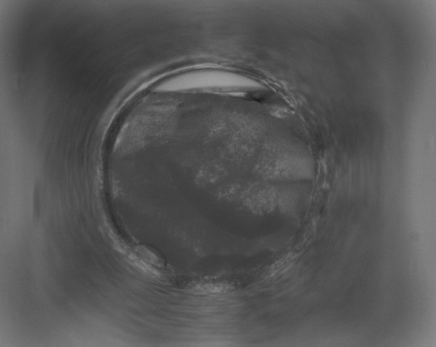 X0000082170247200702092251