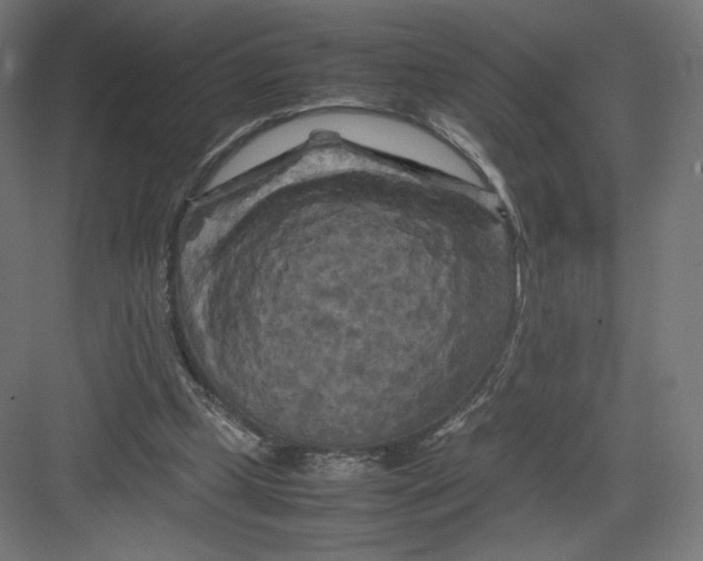 X0000082170249200702092251