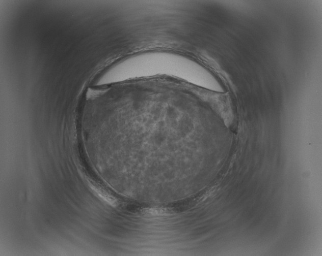 X0000082170250200702092251