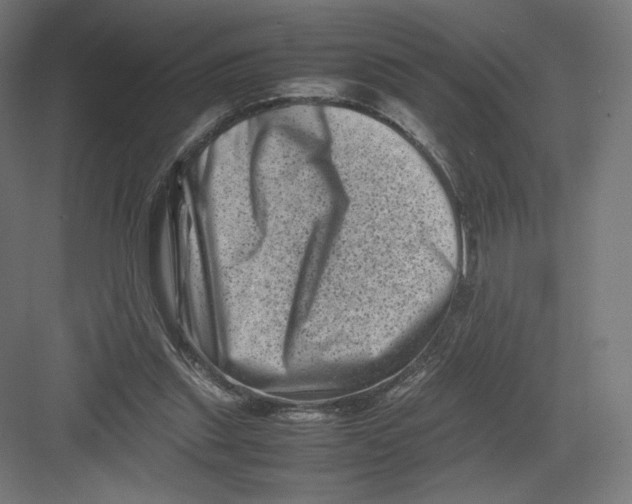 X0000082170253200702092251