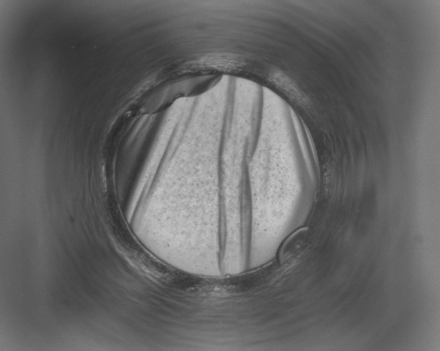 X0000082170254200702092251