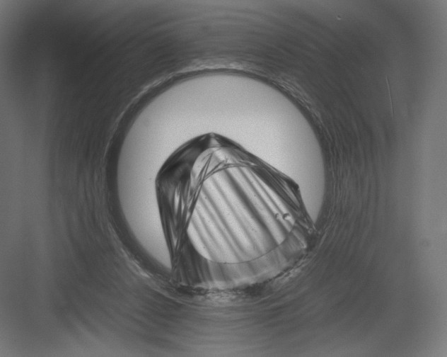 X0000082170256200702092251