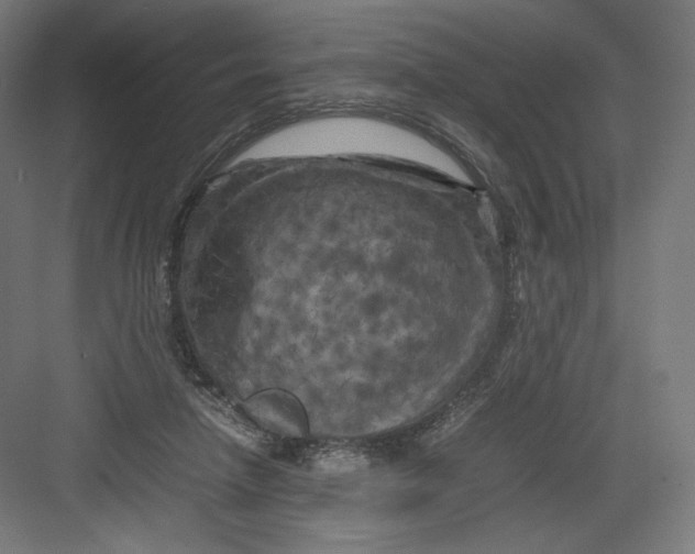 X0000082170258200702092251