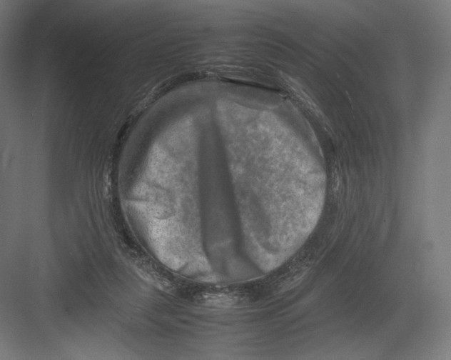 X0000082170259200702092251