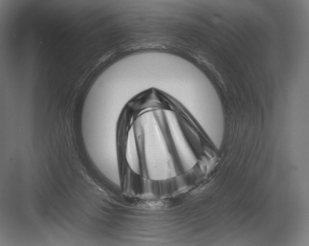 X0000082170260200702092251