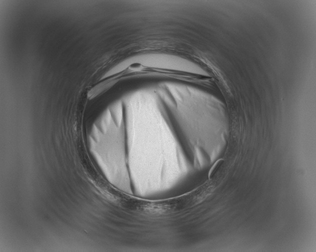 X0000082170261200702092251