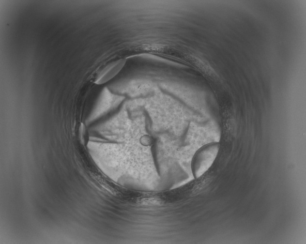 X0000082170262200702092251