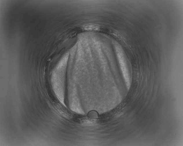 X0000082170263200702092251