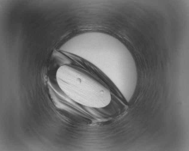 X0000082170264200702092251