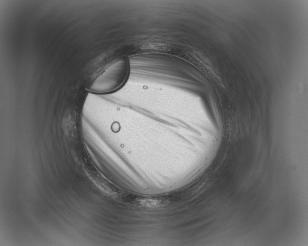 X0000082170265200702092251