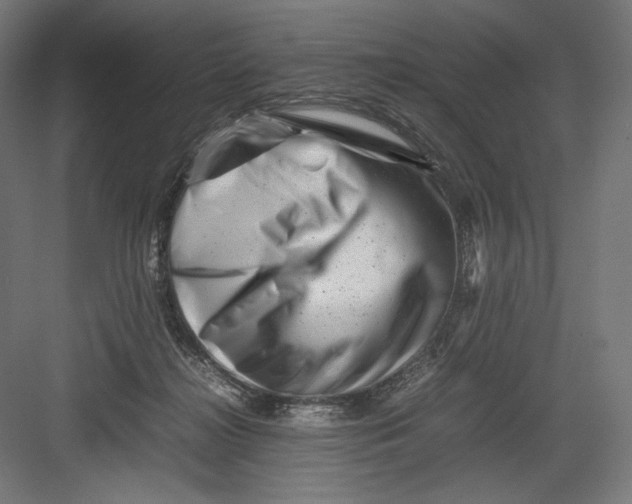 X0000082170268200702092251