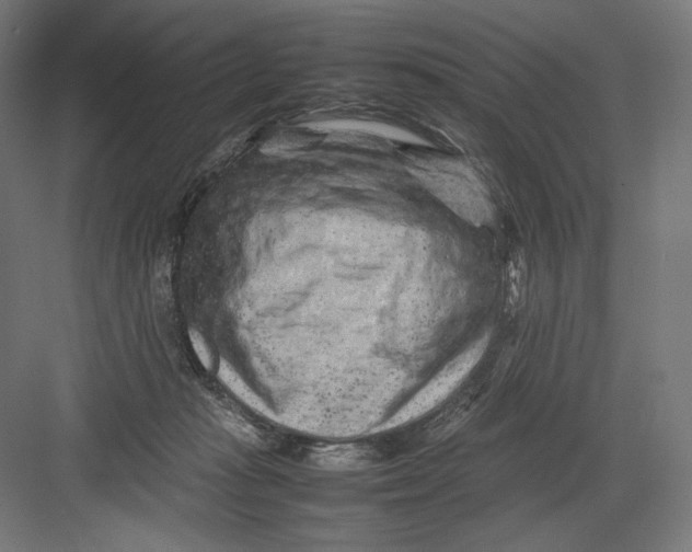 X0000082170269200702092251