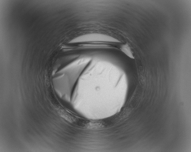 X0000082170270200702092251