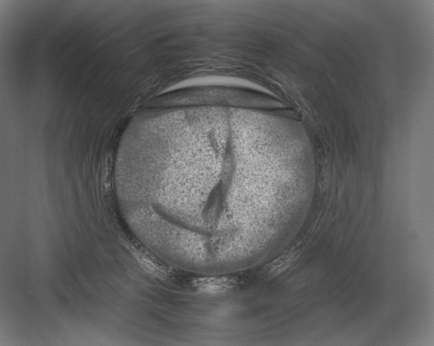 X0000082170273200702092251