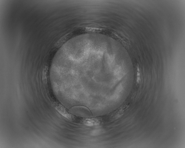 X0000082170275200702092251