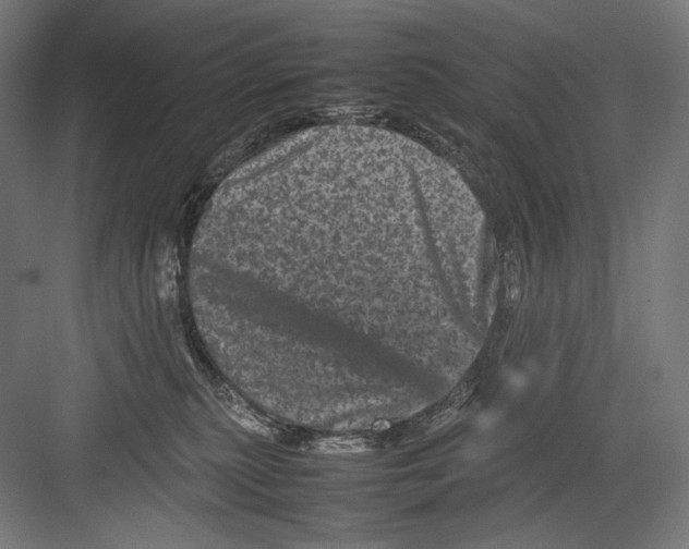 X0000082170279200702092251