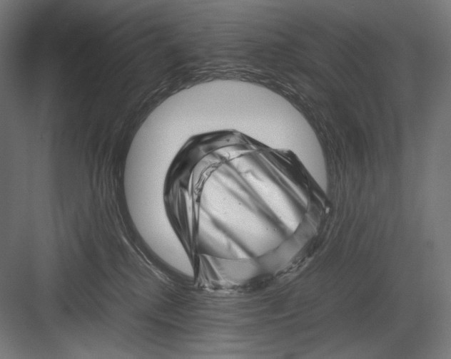 X0000082170280200702092251