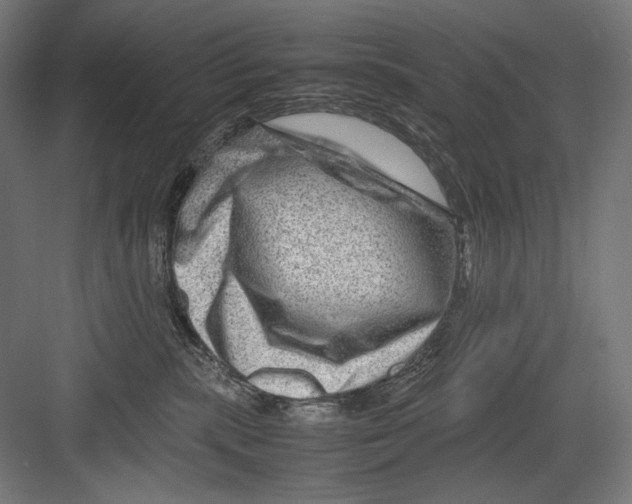 X0000082170283200702092251