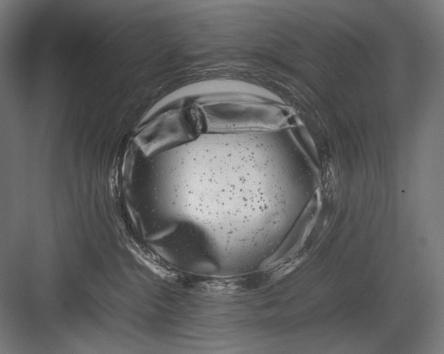 X0000082170284200702092251