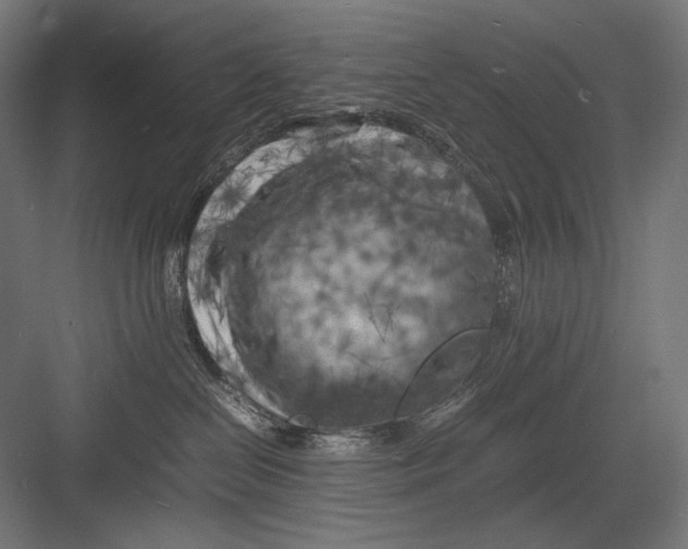 X0000082170286200702092251