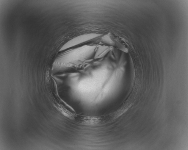 X0000082170288200702092251