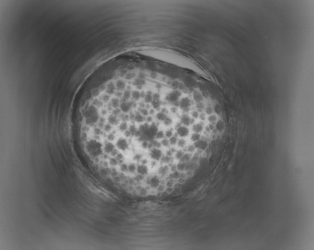 X0000082170290200702092250