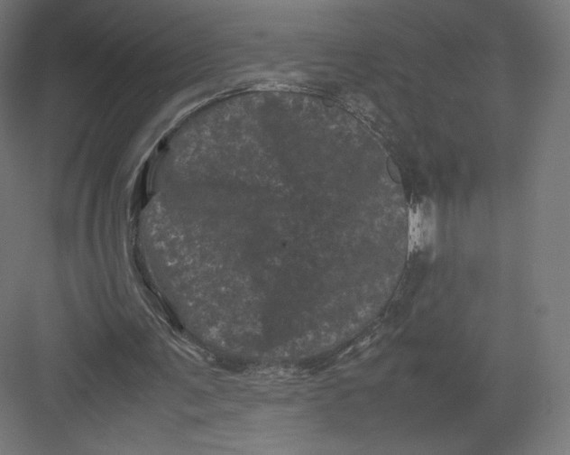 X0000082170291200702092250