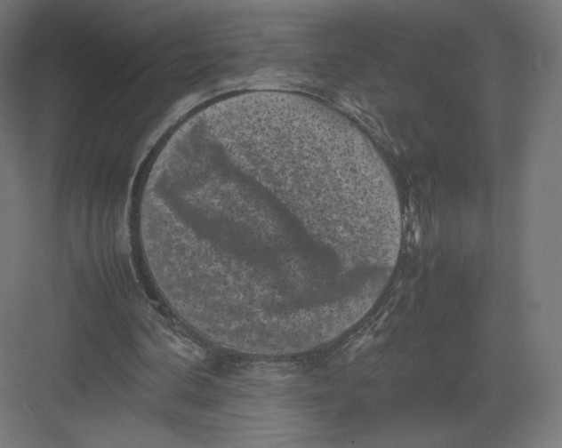 X0000082170292200702092250