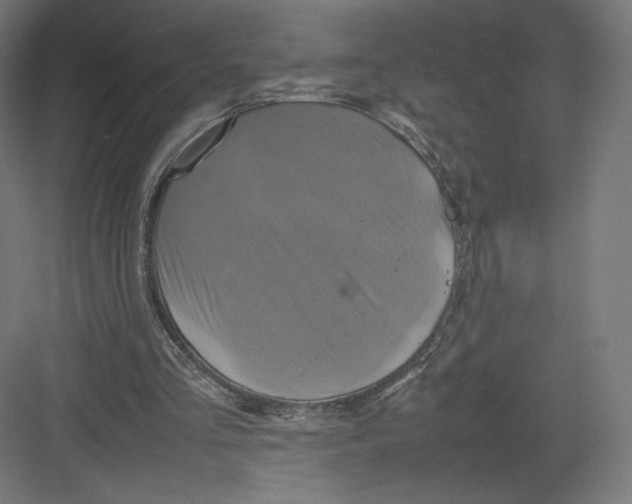 X0000082170293200702092250