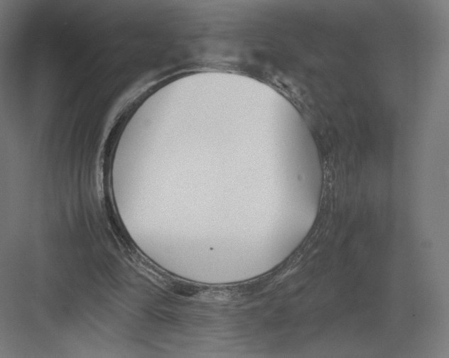 X0000082170294200702092250