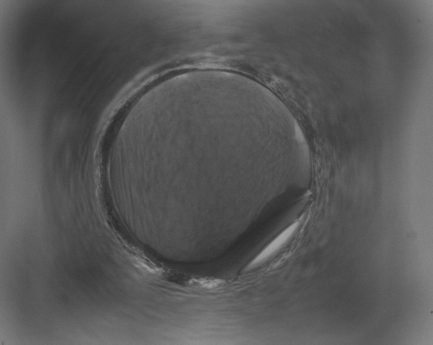 X0000082170295200702092250