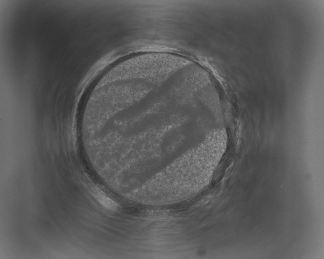 X0000082170296200702092250