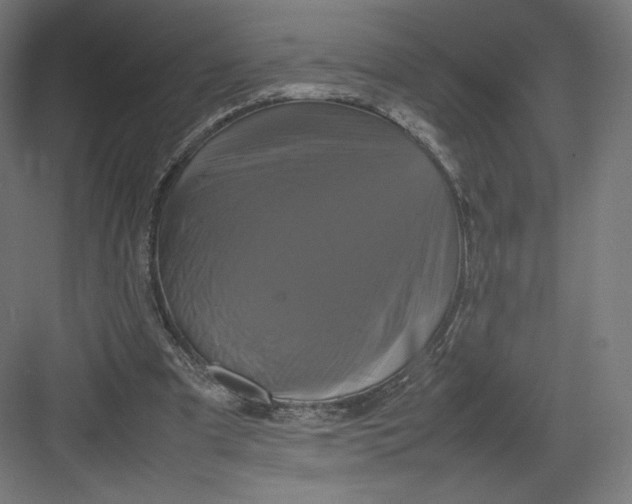 X0000082170297200702092250