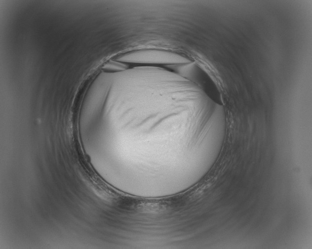 X0000082170298200702092250