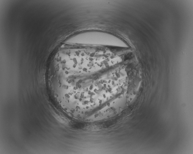 X0000082170299200702092250