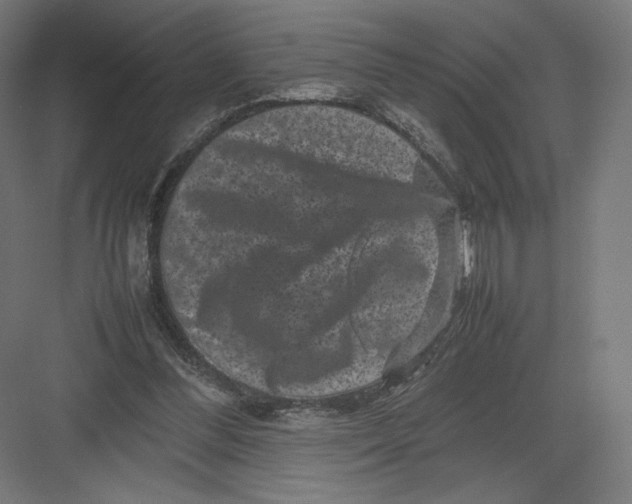 X0000082170300200702092250