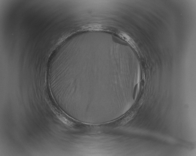 X0000082170301200702092250