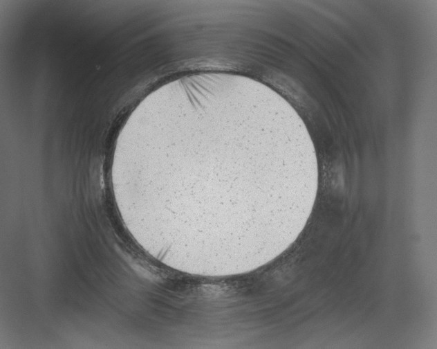 X0000082170302200702092250