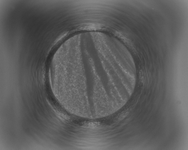 X0000082170304200702092250