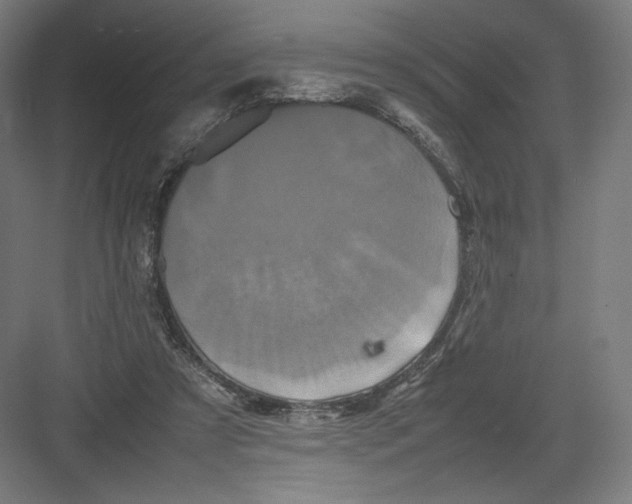 X0000082170305200702092250