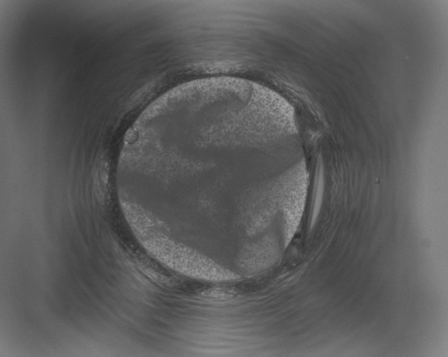 X0000082170308200702092250