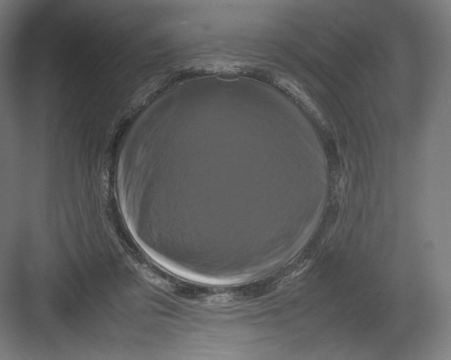 X0000082170309200702092250