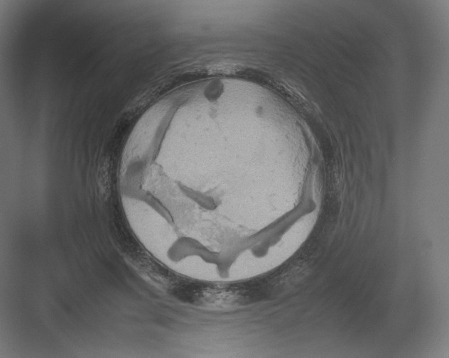 X0000082170311200702092250