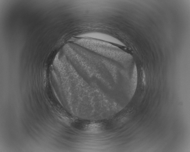 X0000082170312200702092250