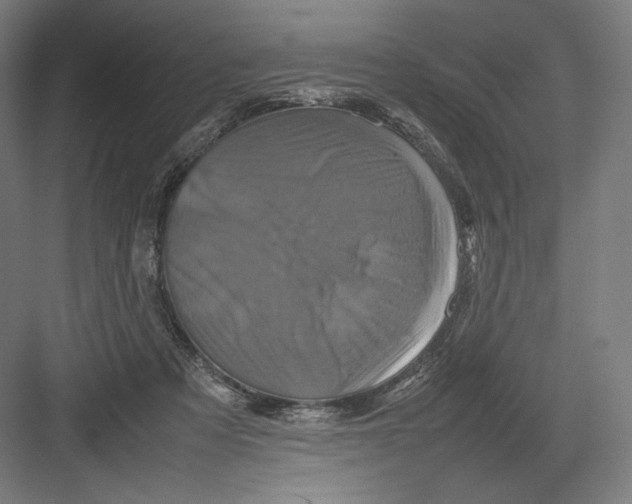 X0000082170313200702092250