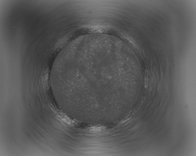 X0000082170314200702092250